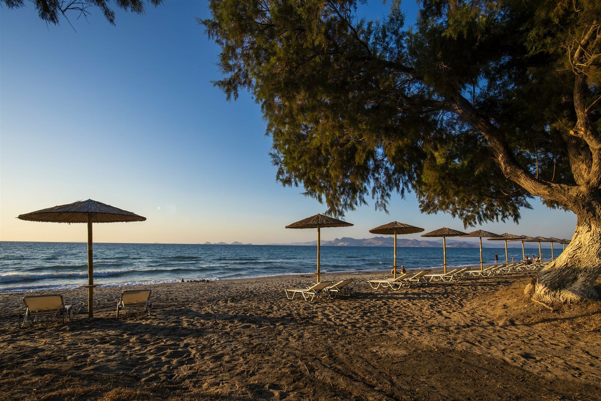 Angela Lejlighedshotel Kos By Eksteriør billede